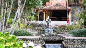 A tropical garden with a stone bridge, a fountain, and a building with a tiled roof.