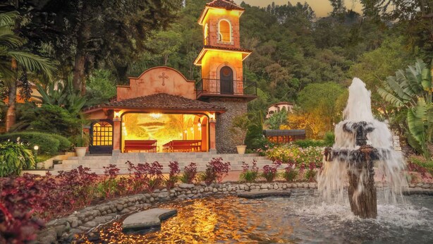 A church with a bell tower, a fountain, and a garden with various plants.