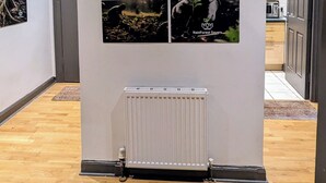A hallway with a radiator, wooden flooring, and a wall with four framed pictures depicting nature scenes.