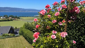 A garden with pink flowers, a wooden trellis, and a view of houses and a body of water in the distance.