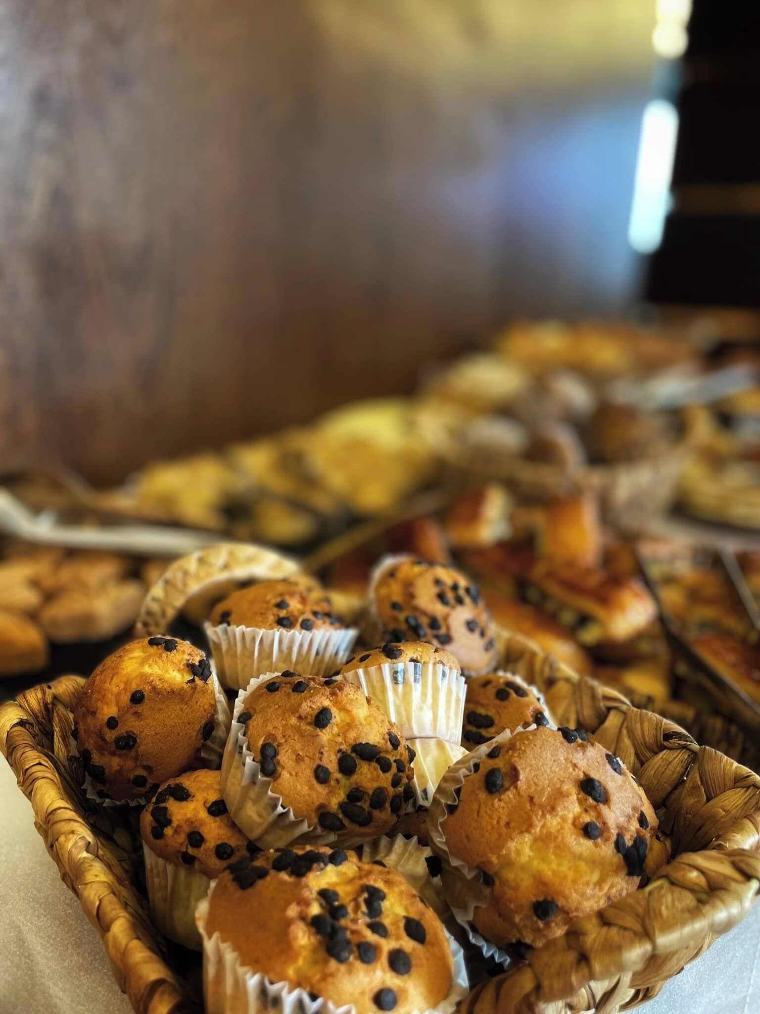 Photo - Le Palme Hotel Oran