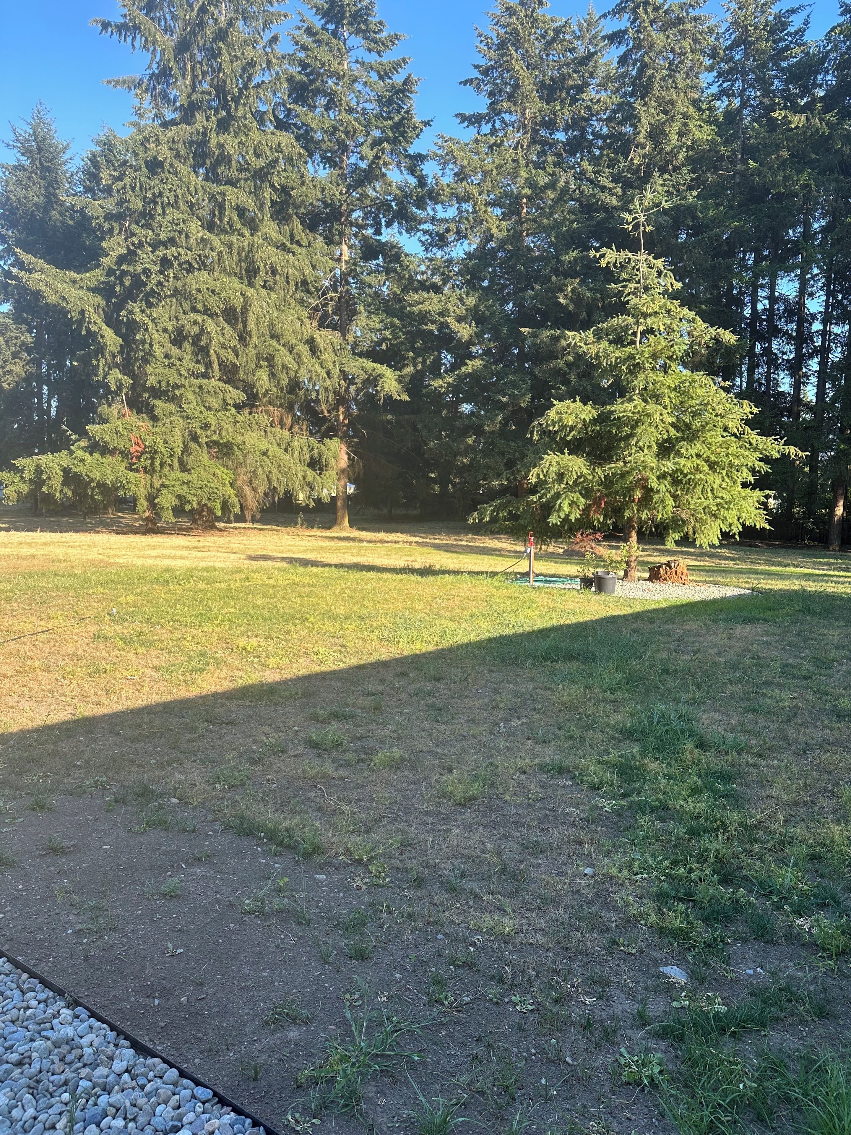 A park with a grassy area, trees, and a gravel path.