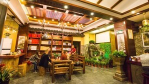 A cozy restaurant interior with wooden furniture, a ceiling with exposed beams, and a variety of plants. - Jinhua Inn (Zhangjiajie)