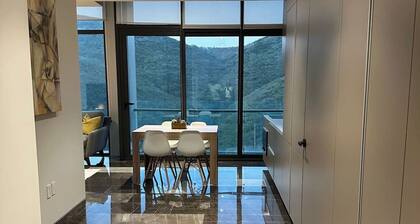 Luxury 2BD&2Bath Next to Plaza Hospital Pool