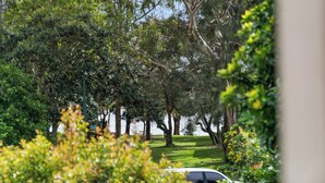 Ein Park mit Bäumen und einem Auto, das auf der Wiese steht.