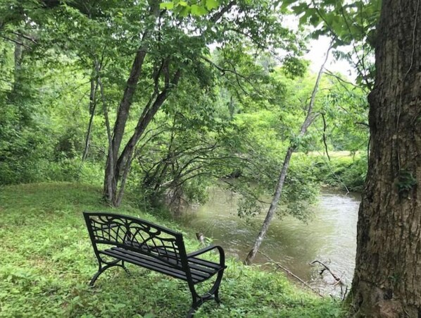 Property grounds - Creekfront Tiny Home & Camper (Ellijay)