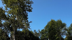 Ulkoalueet