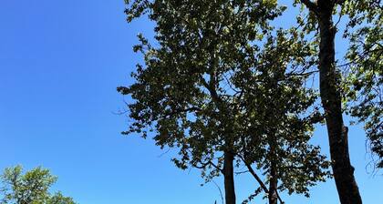 Cozy Cottage on the Ottawa River