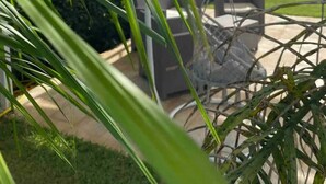 Un espacio patio con mobiliario exterior, una pérgola y vistas a un jardín ajardinado.