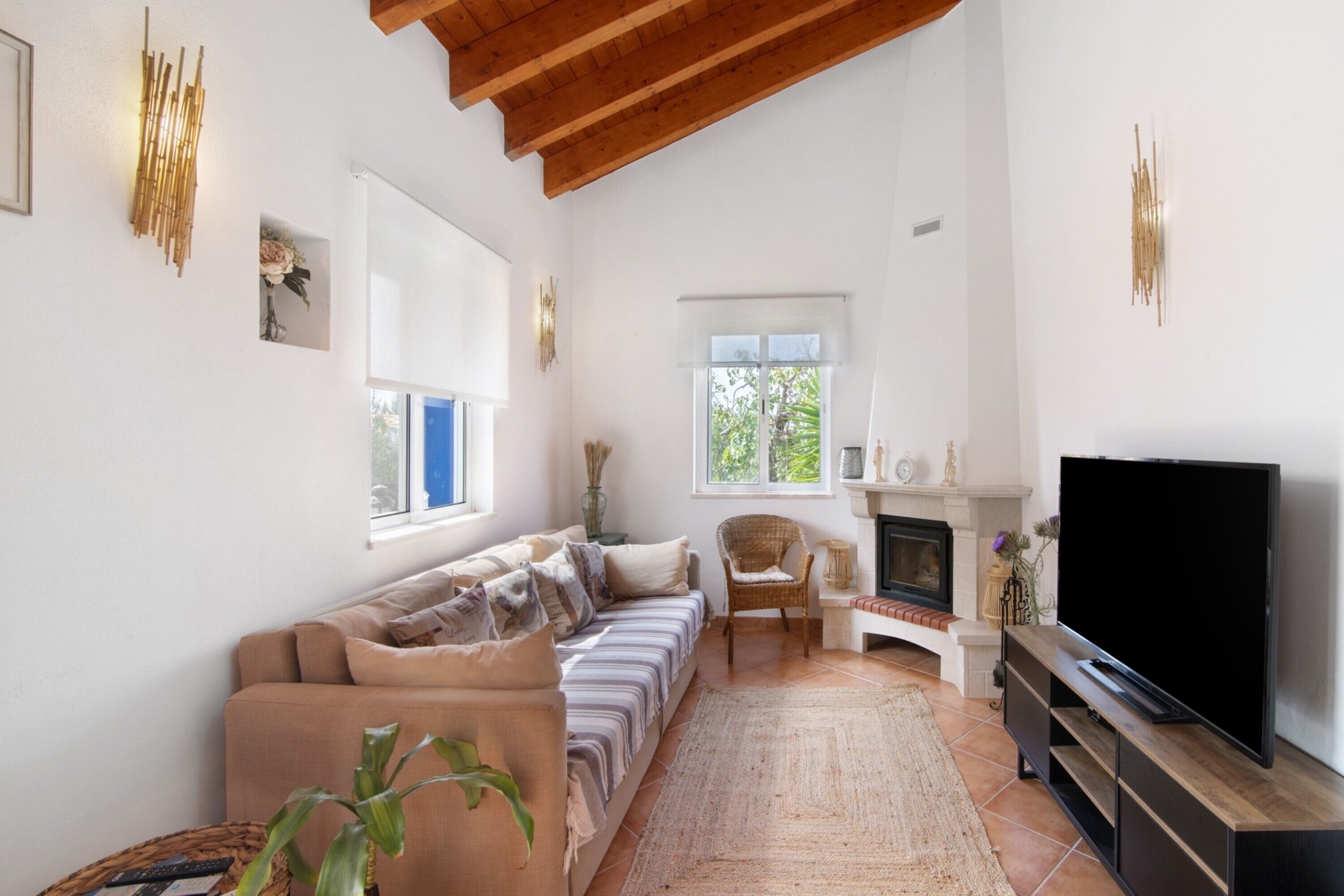 TV, fireplace
