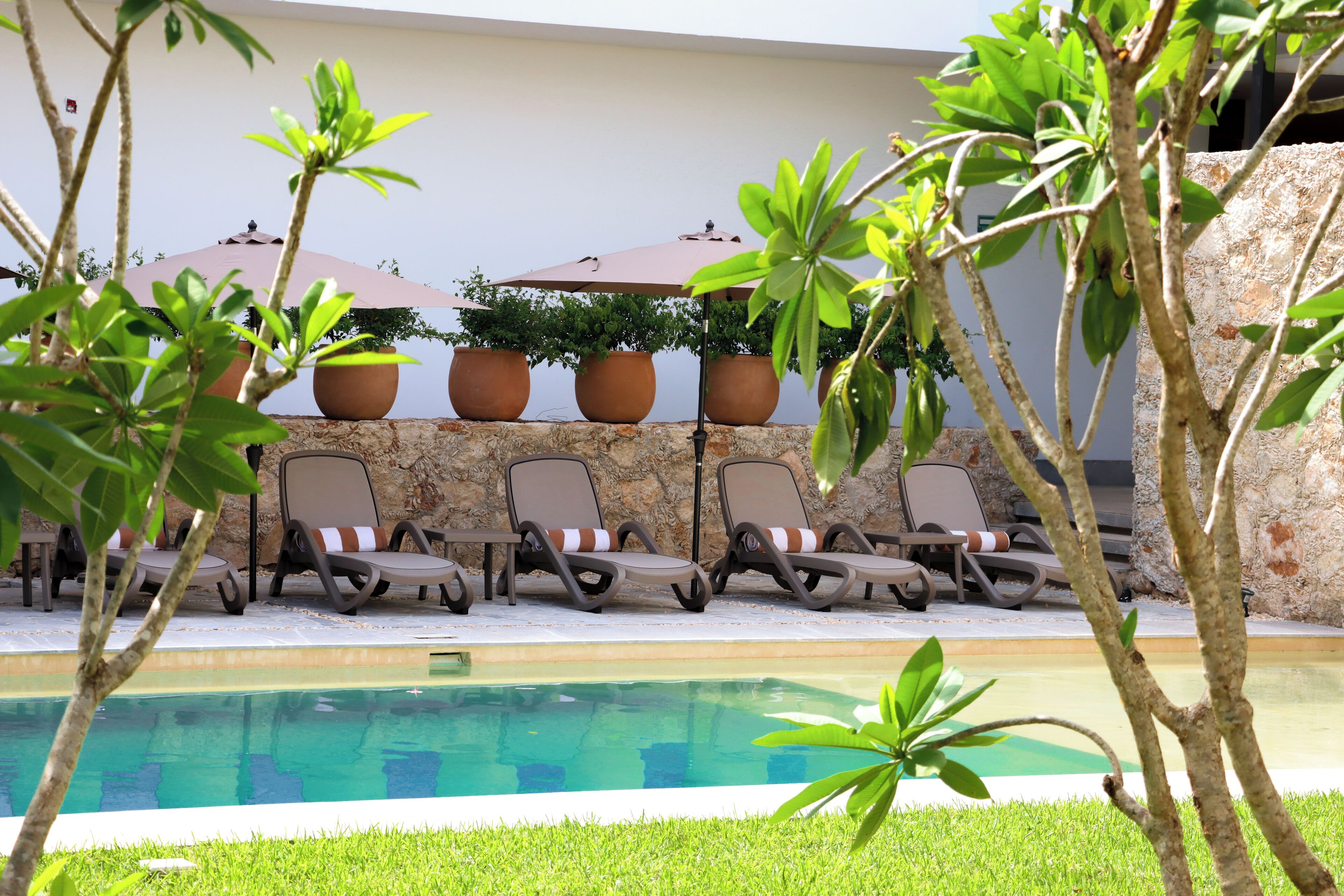 A poolside area with lounge chairs and potted plants.