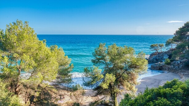 A coastal landscape with trees, a beach, and the sea. - Villa "Costacabana - Santa Cristina" with Sea View, Only Families (Blanes)