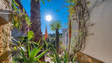 DĂ©tail de lâextĂ©rieur