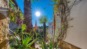 A courtyard with a palm tree, aloe plants, and a cactus. - Holiday Home "Costacabana - Casa Adora" with Mountain View, Shared Pool & Wi-Fi (Tossa de Mar)