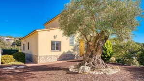 Ein eingeschossiges Gebäude mit Stein Fundament und einer gelben Fassade, ein großer Baum davor und ein klarer, blauer Himmel.