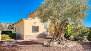 A single-story building with a stone foundation and a yellow facade, a large tree in front, and a clear blue sky.