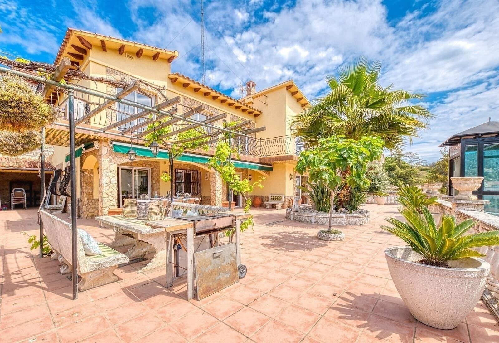 Un patio con mobiliario exterior, una pérgola y una planta grande en maceta.
