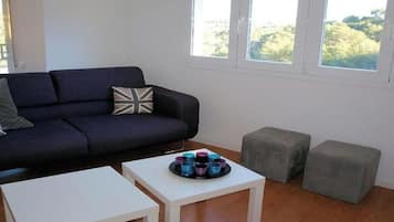 Fernseher, Kamin