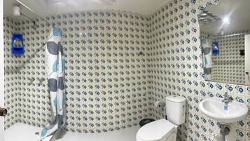 Hair dryer, towels, soap, shampoo