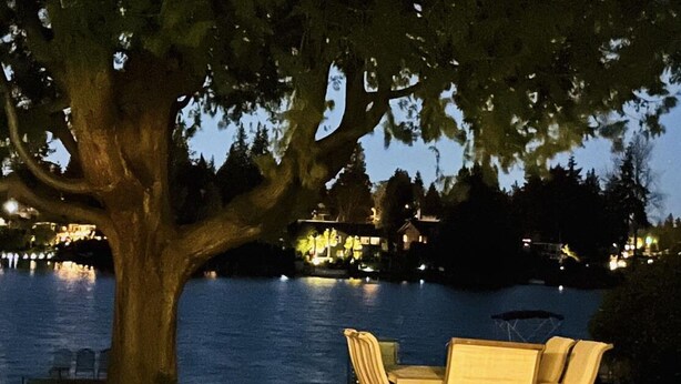An outdoor dining area with a table and chairs, a large tree, and a view of a body of water with lights in the background.