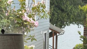 A view from a window overlooking a house with a dock extending into a body of water.