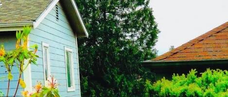 Àrea exterior de l'allotjament