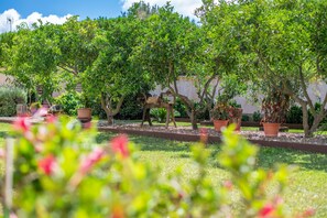 Property grounds - Villa 'Finca Castillo' with Private Pool, Wi-Fi and Air Conditioning (Manacor)