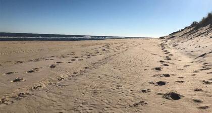 3BR 1BA Victorian Steps to the Beach-One Seasonal week left