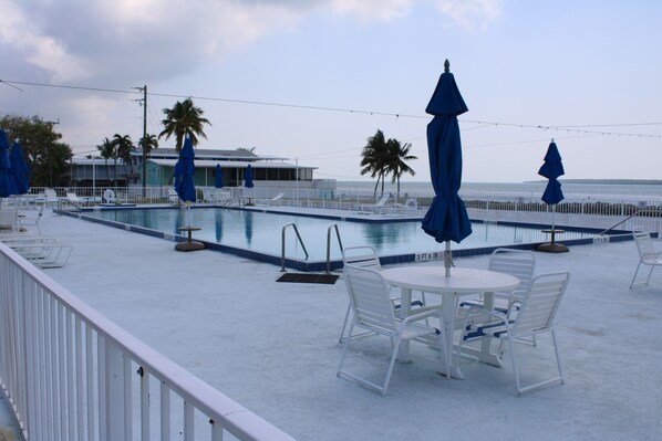 Pool - Island Life Inn- Key Largo Oasis- 55+ Community- Escape the Big City Life (Key Largo)