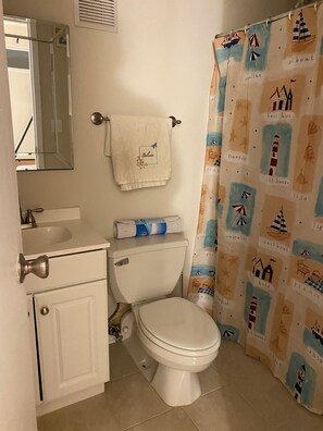 Shower, hair dryer, soap, toilet paper