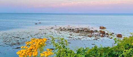 Beach nearby, sun loungers, beach towels