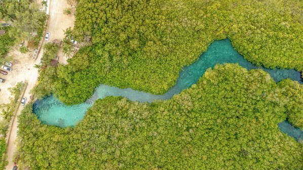 Vue aérienne d’une zone boisée traversée par une rivière sinueuse.