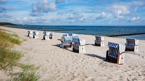 A beach with rows of beach chairs and umbrellas, some with numbers on them.