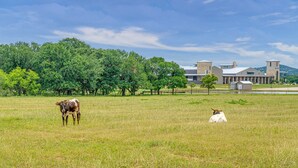 Un champ herbeux avec deux vaches, un bâtiment doté d’une tour et des arbres en arrière-plan.