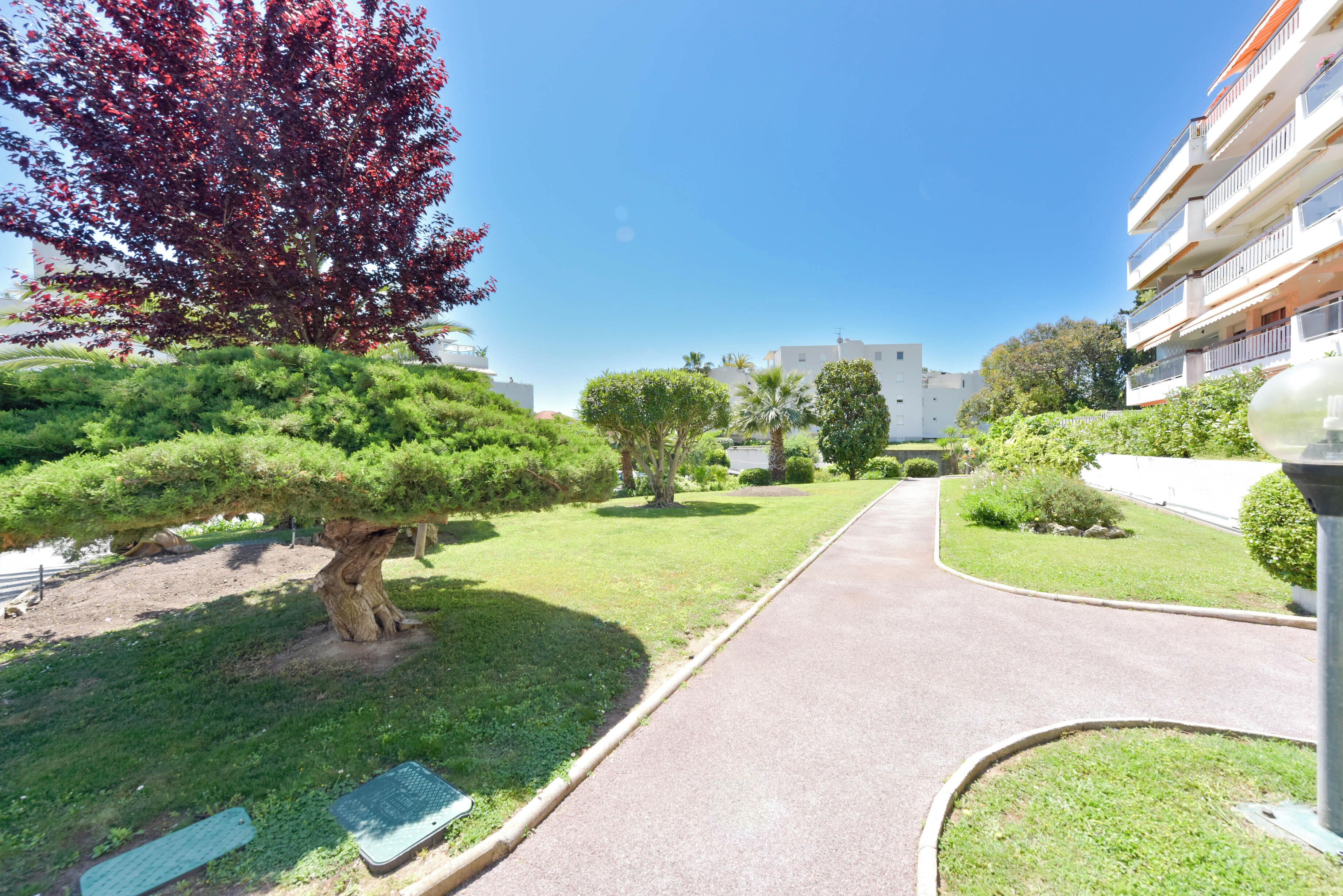 A pathway leading to a building with a well-maintained garden and a large tree with red leaves.