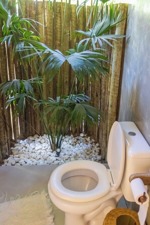 Ducha, toallas, papel higiénico