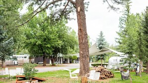 Ein Campingplatz mit weißen Stühlen, einer Hängematte und einem großen Baum.