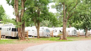 Reihenweise parkende Wohnmobile unter Bäumen auf einem Campingplatz.