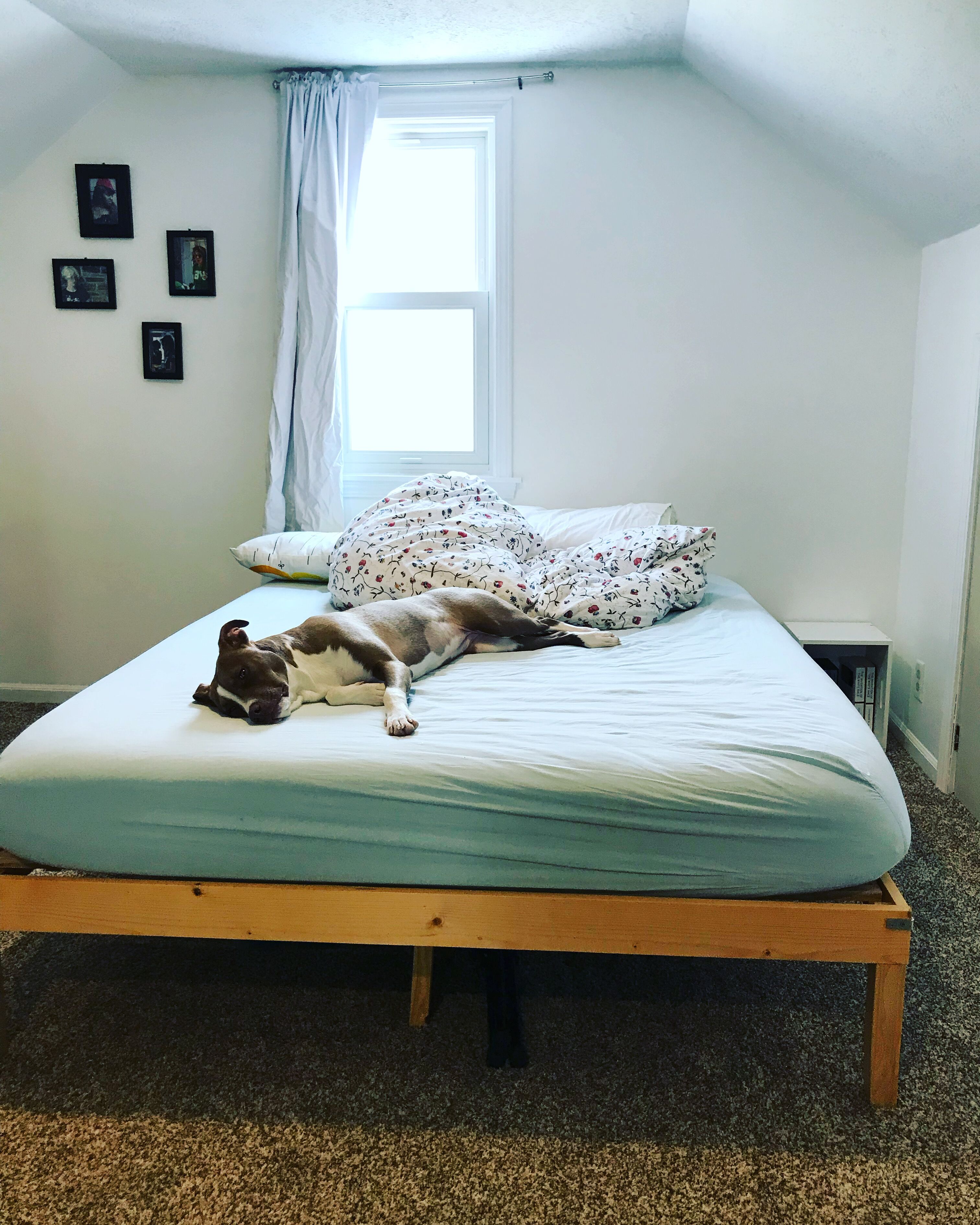 Perfect home football weekend base! 7 min from MSU Stadium 