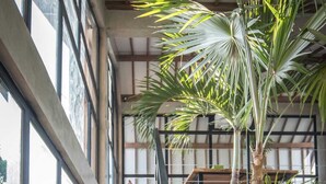 A modern interior with a wooden staircase, large windows, and indoor plants. - Villa Nina (Canggu)