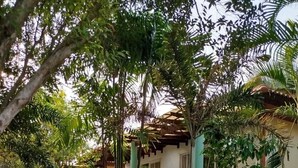 A courtyard with a building, three potted plants, and a pergola. - Luana Villas (Ko Lanta)