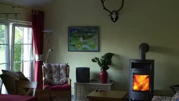 TV, fireplace, DVD player, stereo
