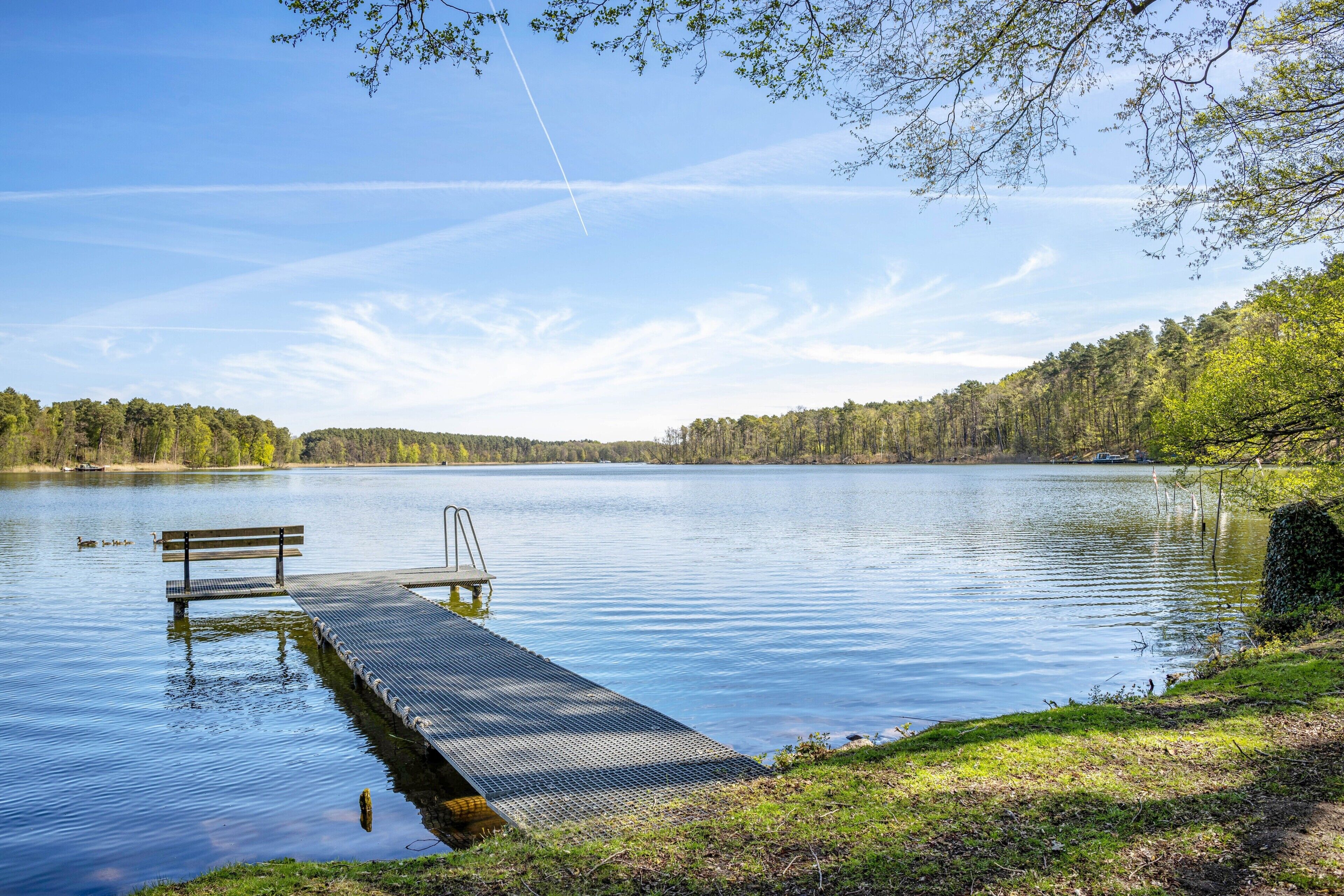 Ein stiller See mit einer hölzernen Anlegestelle, die ins Wasser hineinreicht, umgeben von Bäumen und einem klaren Himmel.