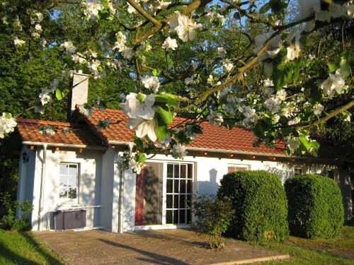 Bungalow 'Am Haussee' with Lake View, Private Terrace and Wi-Fi