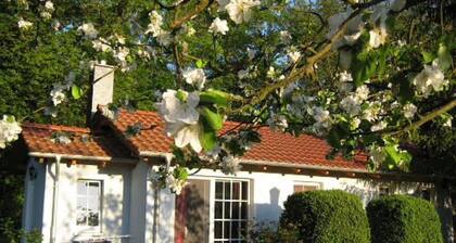 Bungalow 'Am Haussee' with Lake View, Private Terrace and Wi-Fi