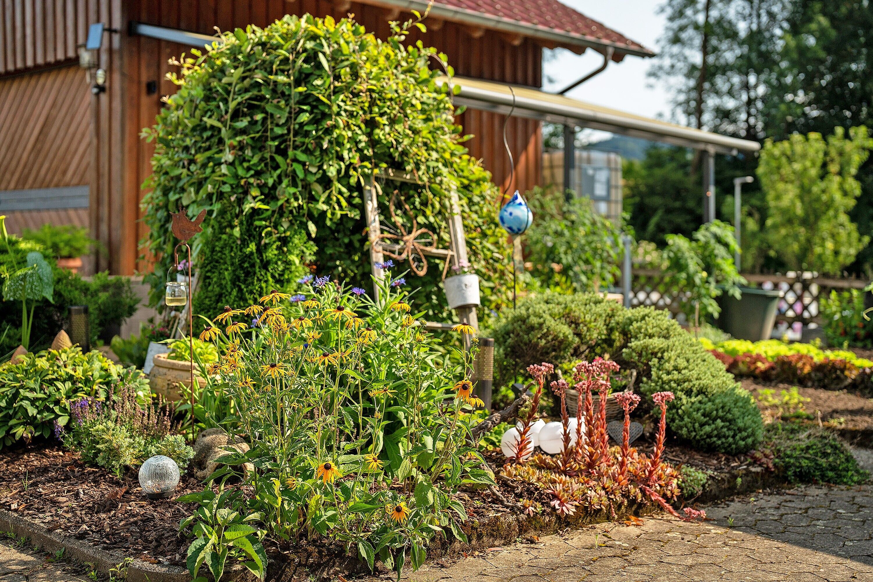 Terrain de l’hébergement 