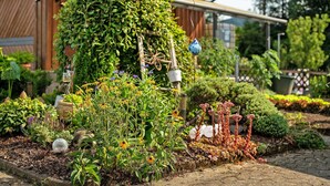 A garden with various plants and a wooden structure in the background.