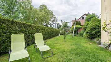 Un jardín con dos sillas, un seto y una casa al fondo.