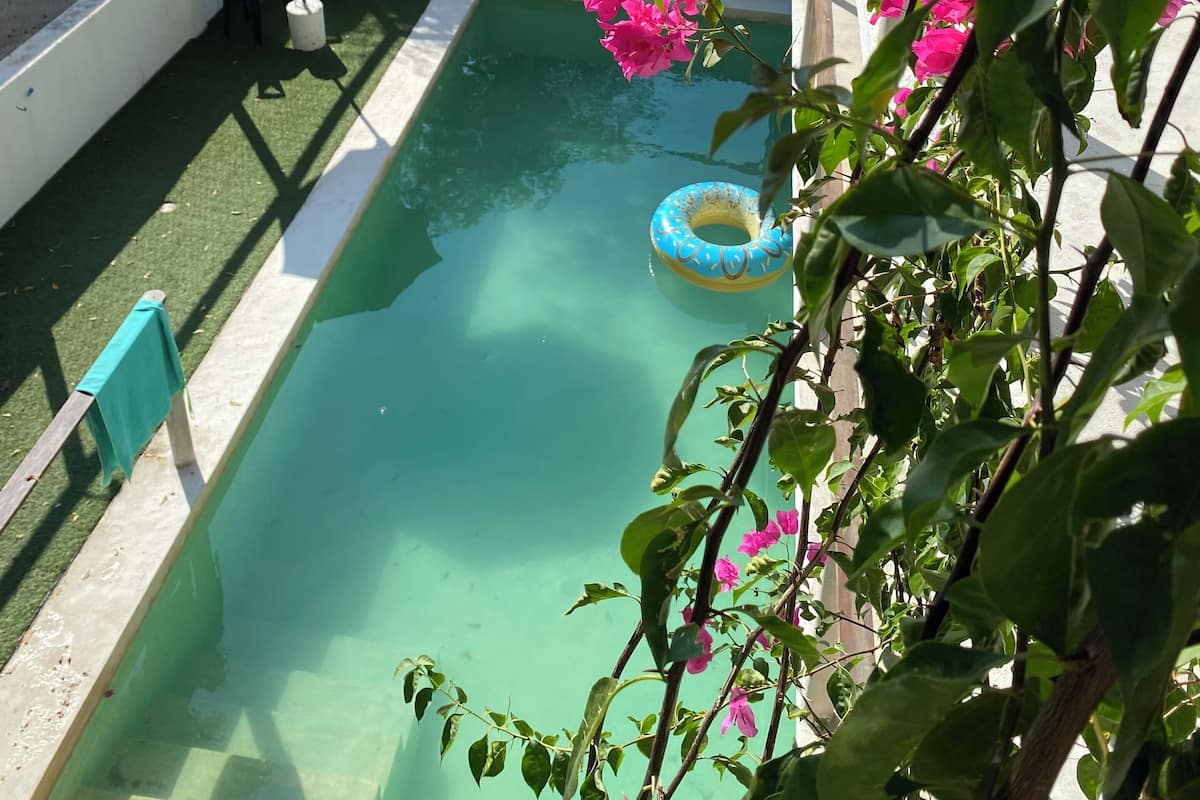 A swimming pool with a blue inflatable ring, surrounded by greenery and a white umbrella.