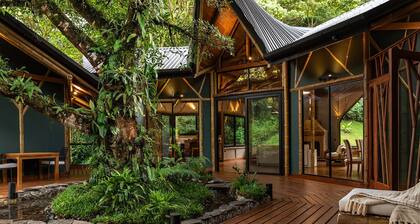 El Tigre Hideaway Monteverde Casa Colmena